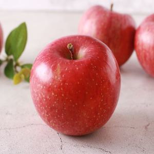 GAP 저탄소 청송 후브락스 부사 사과 3kg 소과 (13-15과) 산지직송 제철 과일 아삭하고 시원한 사과