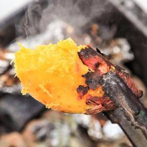 [지리적표시 42호] 무농약 25년 해남 세척 꿀고구마 5kg (특상)