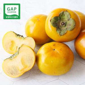 [생산자직송] 창원 부유 단감(왕특) 5kg