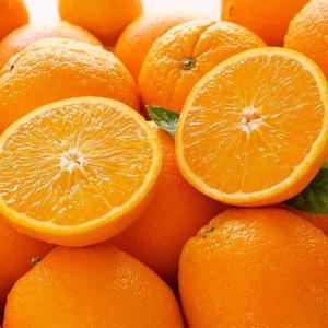 블랙라벨 고당도 오렌지 30과 중과 (개당190g내외)