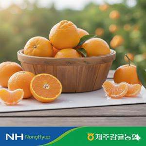 [농협] 제주감귤농협 특등급 레드향 4kg(14~27과)