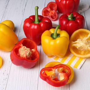 갤러리아_[성결농원]국내산 혼합 파프리카 5kg(빨강,노랑)/18-24개 내외