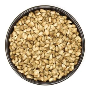 국산 볶음 홍화씨 500g