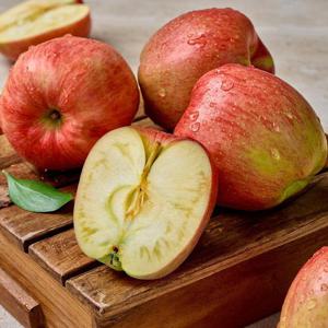 [팜스프링] 경북 부사사과 가정용 4kg(28과내외)