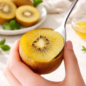 보성 골드키위 2kg 특대과 21-22과