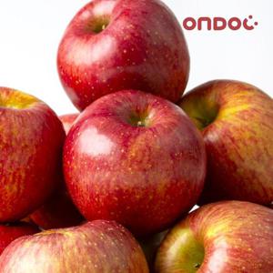 [온도씨] 경북 안동 길안 가정용 부사사과 꼬마과 4kg (28과이상)