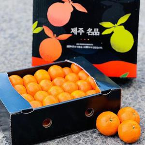 제주 비가림 하우스 감귤 5kg 선물세트 로얄과