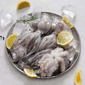 26년 제철 활 쭈꾸미 1kg 10-16미