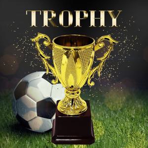 미니 대회 트로피 상패 (대/중/소) 시상식 우승트로피 어린이트로피 우승컵 골프트로피 trophy 상패