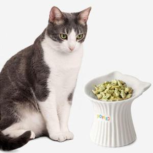 고양이 세라믹 귀여운 높은 식기 1P 경사 밥그릇 1구 (WFIL4BE)