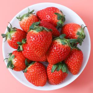 논산 홍희 딸기 800g 특품 (24-30입) / GAP 인증