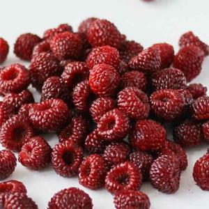 새콤달콤 고창 냉동 산딸기 1kg /트레이포장