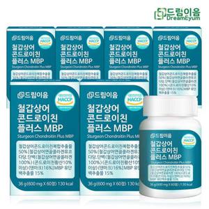 드림이음 철갑상어 콘드로이친 플러스 MBP 6개월분
