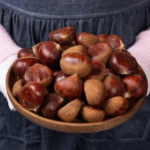 [대한민국농수산] 25년 햇밤 출하! 100% 국내산 꿀밤 공주밤  (칼집 O) 4kg