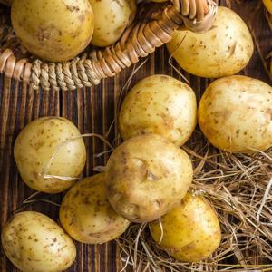 국내산 수미감자 왕특(180~280g 내외) 5kg