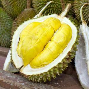 베트남 깐 두리안 2kg 베트남두리안 냉동 두리안 손질두리안 과일의 왕 두