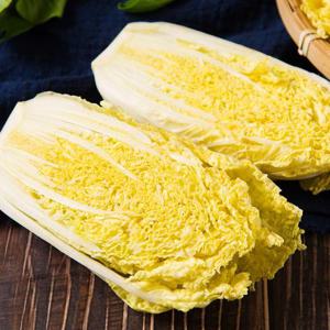 해남 제철 알배기 쌈배추 4kg (4-6포기 내외)