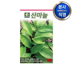 산마늘 씨앗 50립 . 명이나물 야채 채소 씨 종자 텃밭 주말 농장.