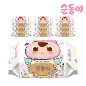 순둥이 페인터 에디션 아기물티슈  캡형 100매 10팩 (pBpC-01)