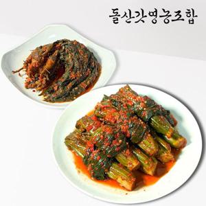 [돌산갓영농조합] 산지직송 전라도 갓김치1kg+고들빼기1kg