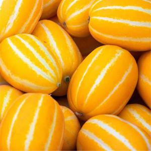 산지직송 성주참외 고당도 꿀참외 3kg 소과