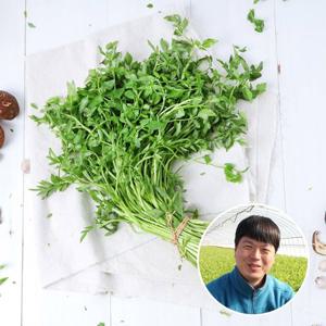 [산지장터]경북 청도 장석형님의 청도미나리 2kg/500gx4팩