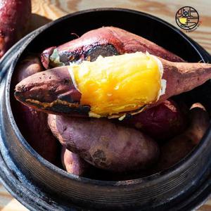 세척 꿀고구마 베니하루카/중상 5kg(개당 80-120g)