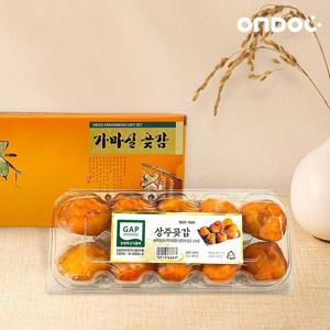 [온도씨]상주곶감 실속형 반건시 곶감 500g(10과)