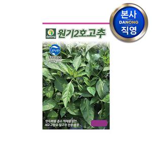 원기2호 고추 씨앗 50립 . 잎고추 고추잎 전용 AGI 함유 다수확 씨 종자.