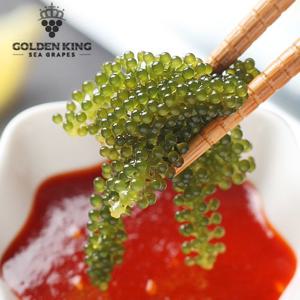 [골든킹]톡톡 터지는 식감_ASMR푸드 바다포도(우미부도) 100gx2팩