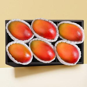[스윗베러] 애플망고 6과 선물세트 2.1kg내외