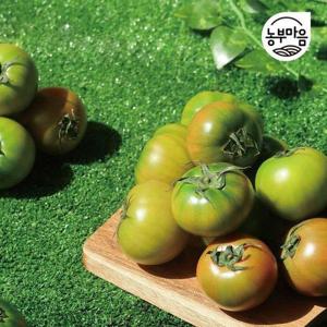 갤러리아_[농부마음]가정용 대저토마토 2.5kg 못난이 랜덤과