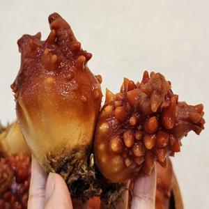 통멍게1kg(10-16미) 대사이즈 국내산 술안주 해산물