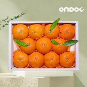 갤러리아_[온도씨]제주 레드향 선물세트 4.5kg 소과 (24-30과내외)