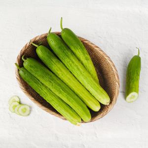 [농협청과33번] 수분가득 신선한 백다다기오이 3kg (특)