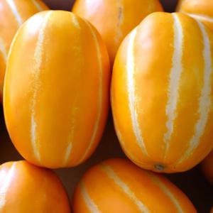 못난이 성주 참외 랜덤과 2kg