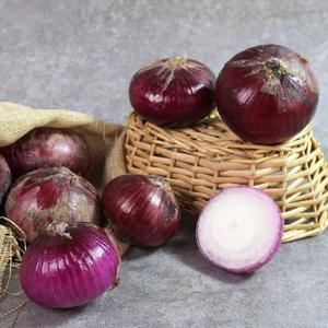 갤러리아_[더조은] 무안 자색양파 5kg (특대)