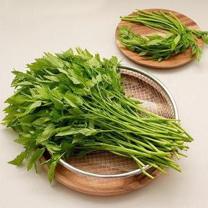 늘푸른 청도미나리 1kg