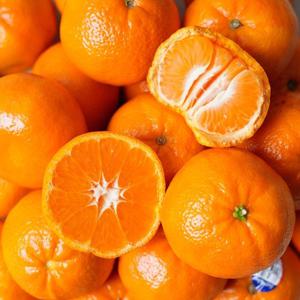 썬키스트 만다린 고당도 감귤 5kg (개당 80~90g)