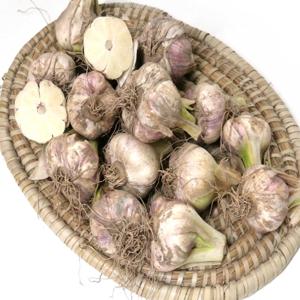 해남 햇마늘 중 50+50개