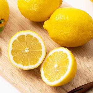 직수입 팬시레몬 점보 15과(2Set구매시 +5과증정)