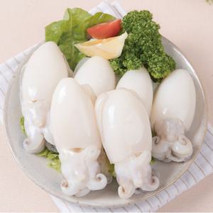 [푸른들] 냉동 갑오징어 60/80 800g