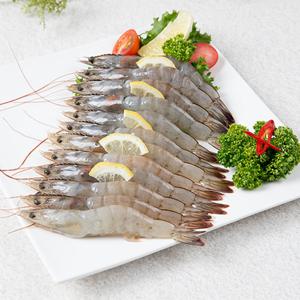 [푸른들] 새우40미(31/40)_hoso 500g