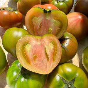 대저 짭짤이 토마토 2.5kg (2S-S)