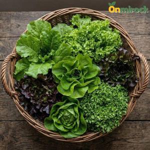 온미락 친환경 무농약 유러피안 채소 2Kg 샐러드 쌈 채소 혼합구성