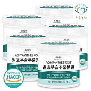 [푸른들판] 국산 발효 우슬 추출 추출물 분말 가루 haccp 인증 170gx5통