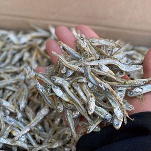 국산 무염멸치 300g 무료배송 / 짜지 않은 고급 멸치