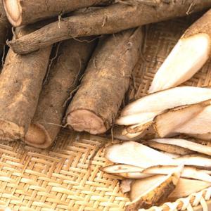 포미식탁 국내산 아삭 생우엉 햇 우엉 2kg (상-특 혼합)