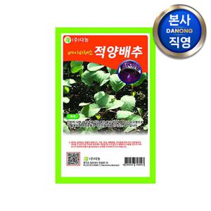 베이비 (샐러드) 적양배추 씨앗 30g . 무소독 베란다 텃밭 채소 재배 씨 종자
