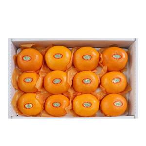 백화점용 프리미엄 천혜향 고급 선물세트 3kg